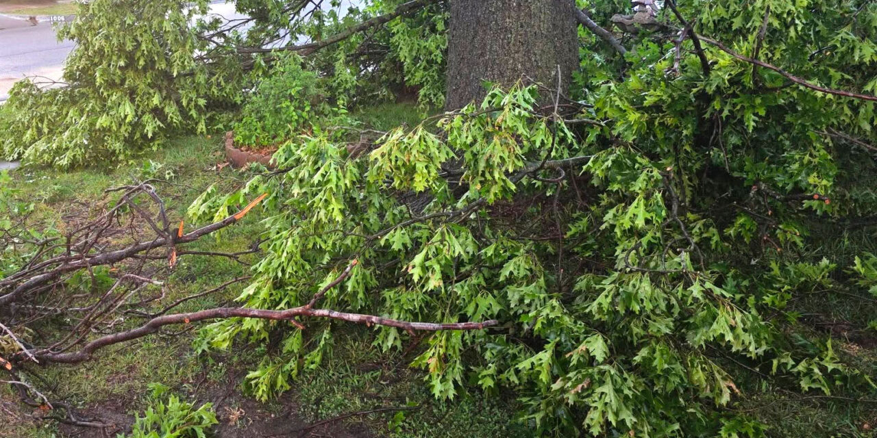 City of Owasso Offering Storm Debris Pickup
