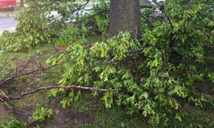 City of Owasso Offering Storm Debris Pickup