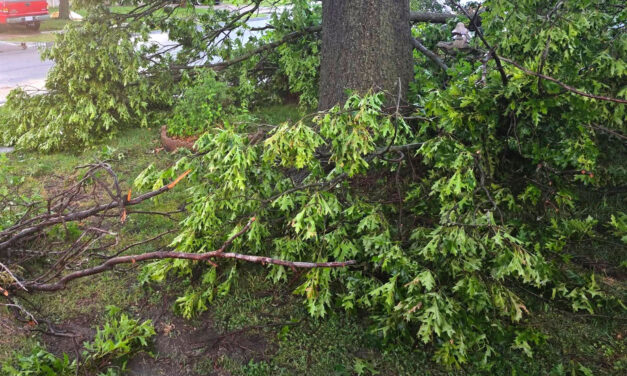 City of Owasso Offering Storm Debris Pickup