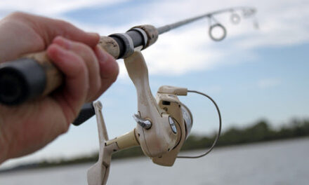 June Fishing Update