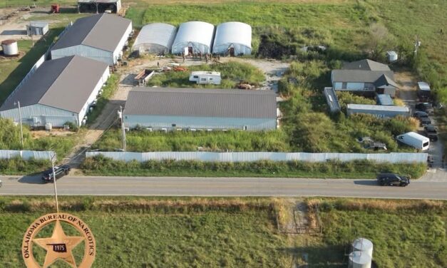 OBN Seizes More Than 7,000 Marijuana Plants During Okmulgee County Investigation