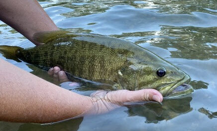 August Fishing Update