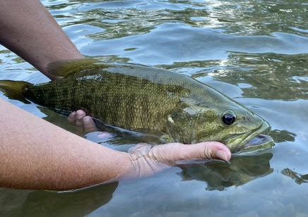 August Fishing Update